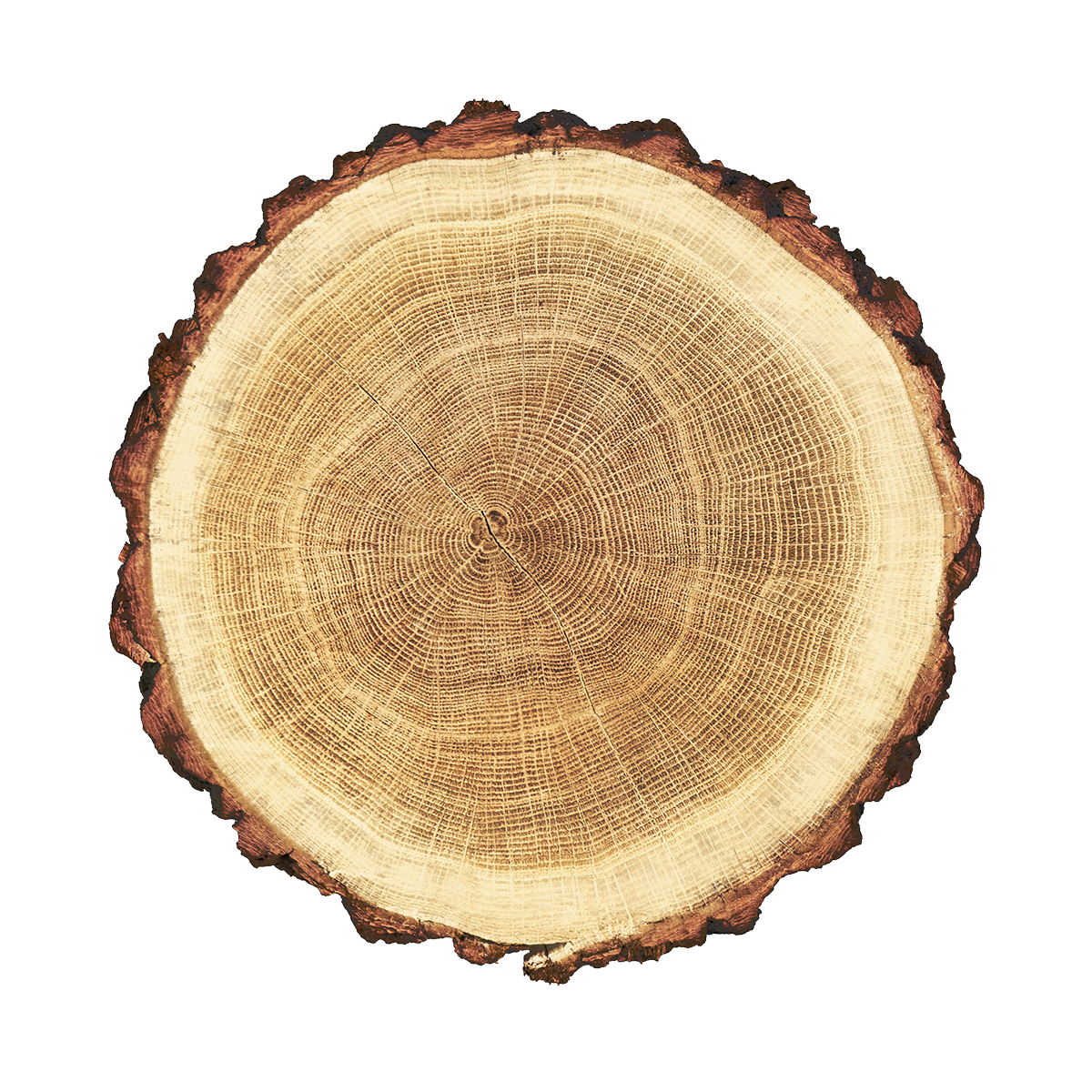 https://www.ozmili.sk/wp-content/uploads/2017/05/product_03.png